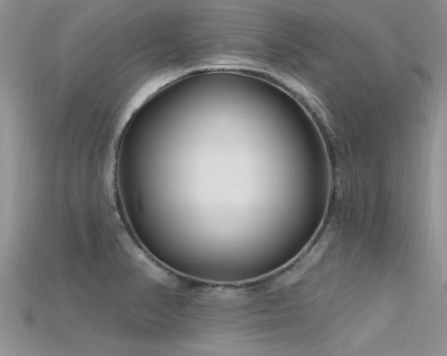 X0000115691374200911121258
