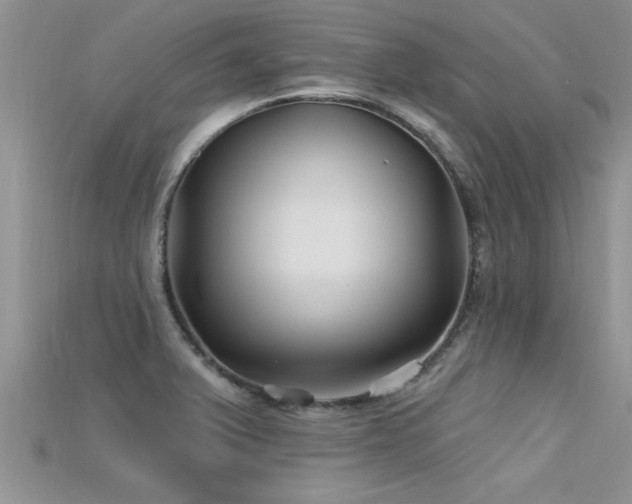 X0000115691375200911121258