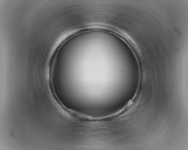 X0000115691376200911121258