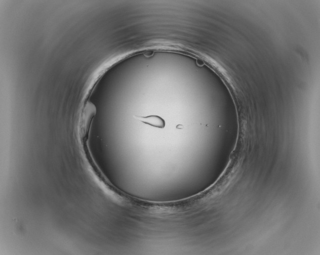 X0000115691379200911121258