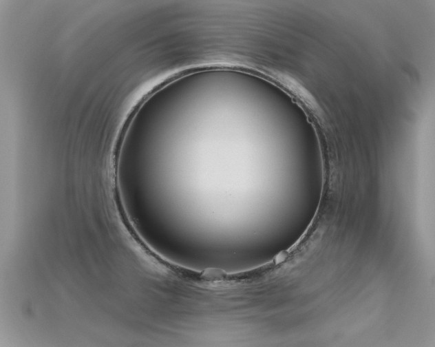 X0000115691380200911121258