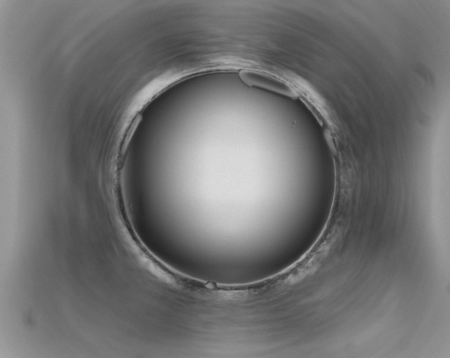 X0000115691381200911121258