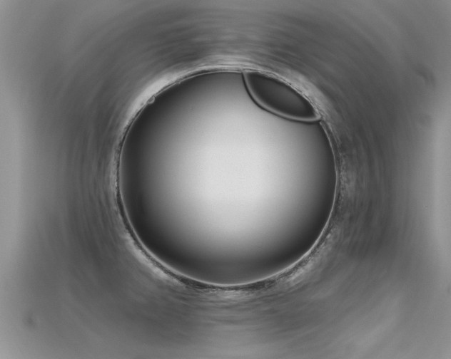 X0000115691382200911121258