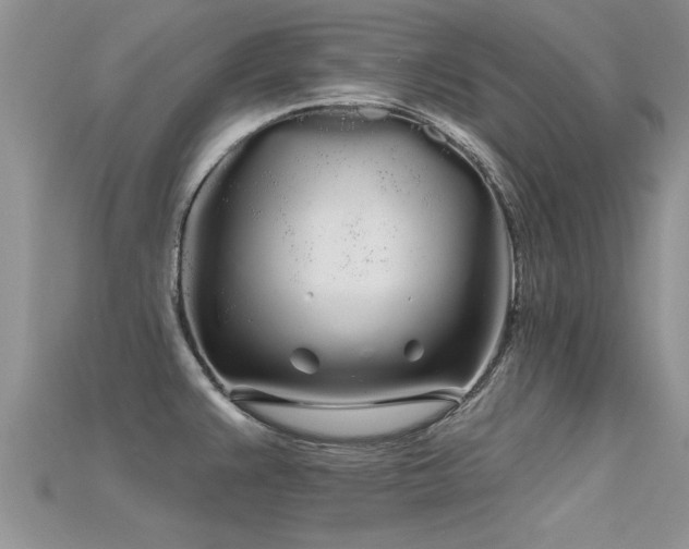 X0000115691383200911121258