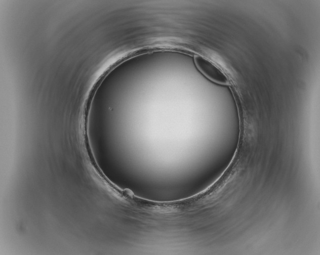 X0000115691384200911121258