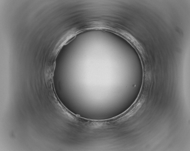 X0000115691385200911121258
