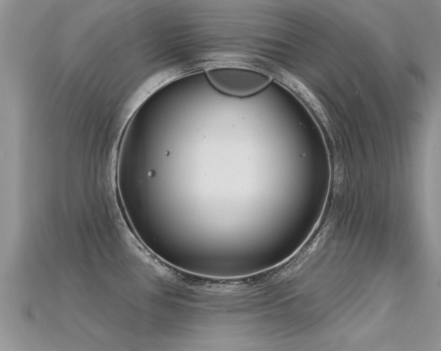 X0000115691386200911121258