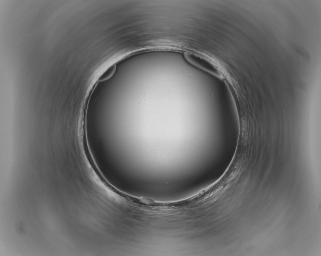 X0000115691387200911121258