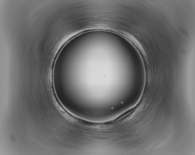X0000115691388200911121258