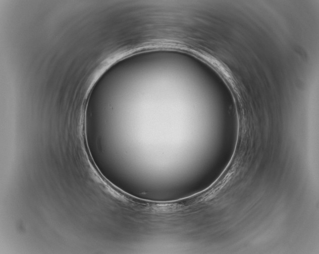 X0000115691390200911121258