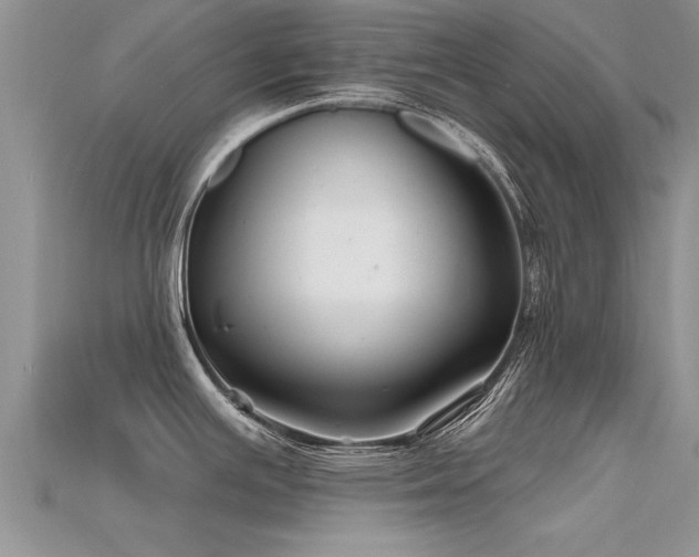 X0000115691391200911121258