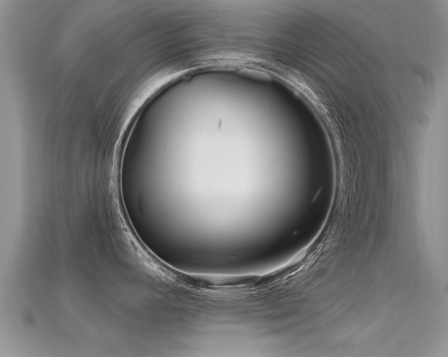 X0000115691392200911121258
