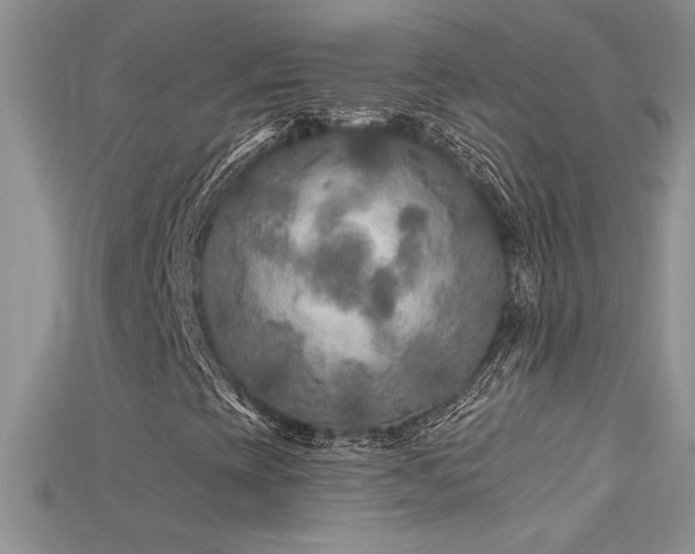 X0000115691393200911121257