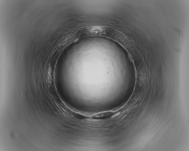 X0000115691394200911121257