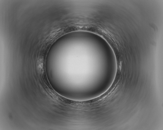 X0000115691396200911121258