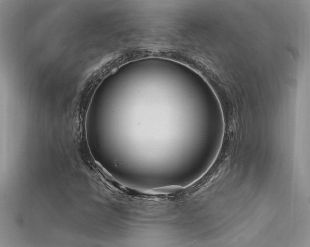 X0000115691398200911121258