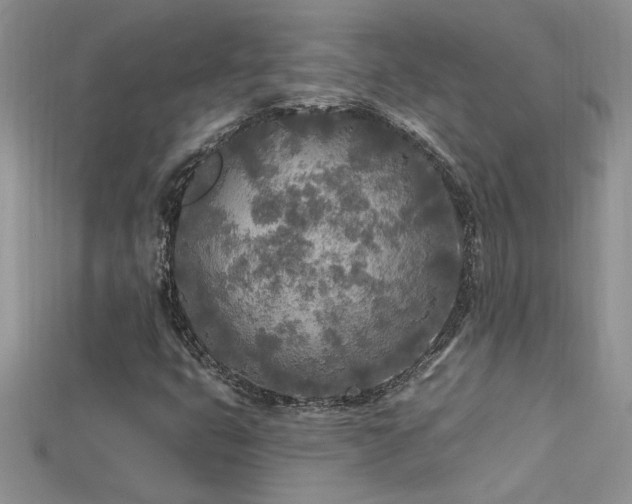X0000115691399200911121258
