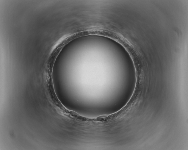 X0000115691400200911121258