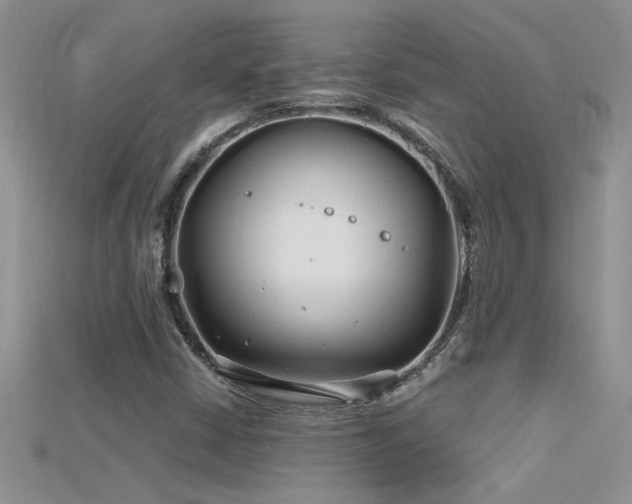 X0000115691402200911121258