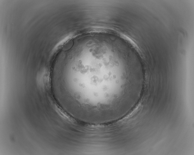 X0000115691403200911121258