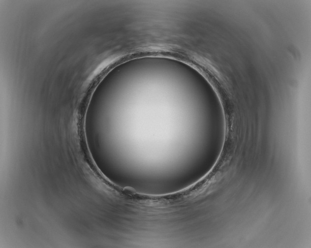 X0000115691404200911121258