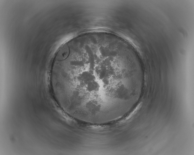 X0000115691405200911121258