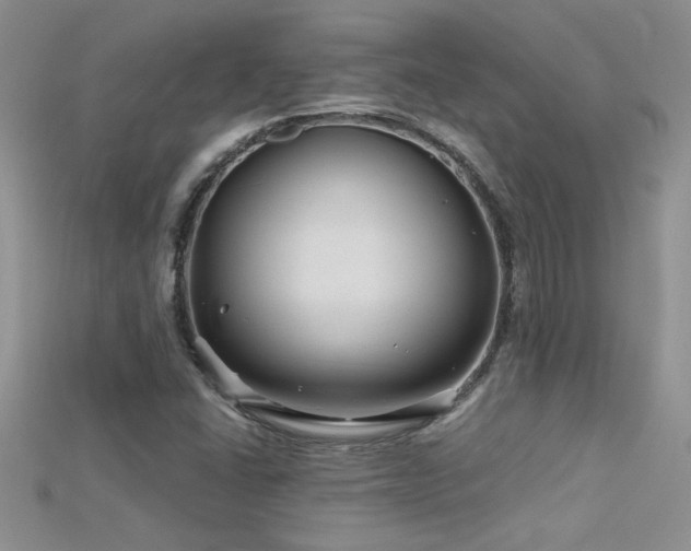 X0000115691406200911121258