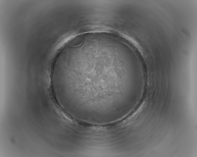 X0000115691407200911121258