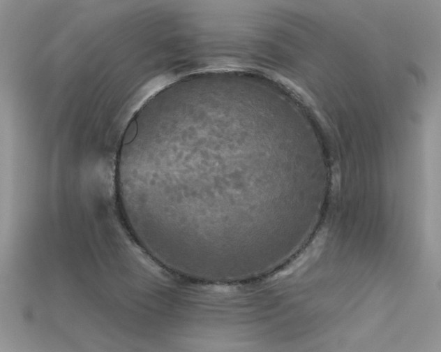 X0000115691409200911121258
