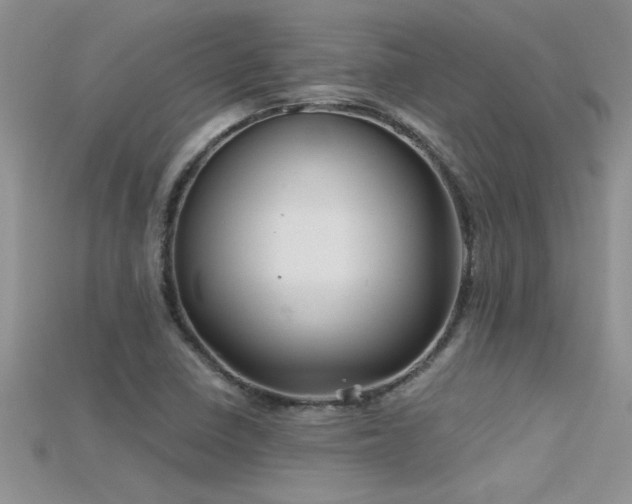 X0000115691410200911121258