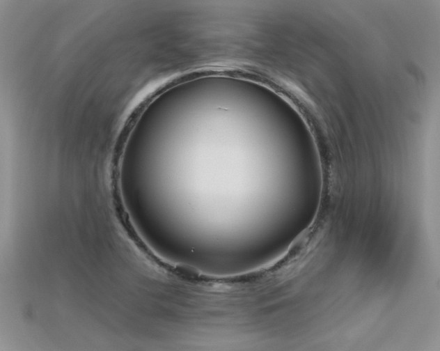 X0000115691412200911121258