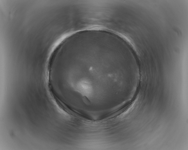 X0000115691414200911121258