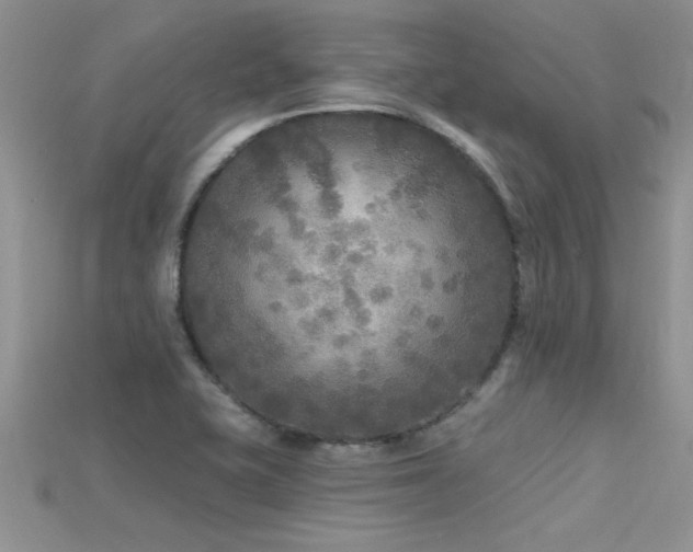 X0000115691415200911121258