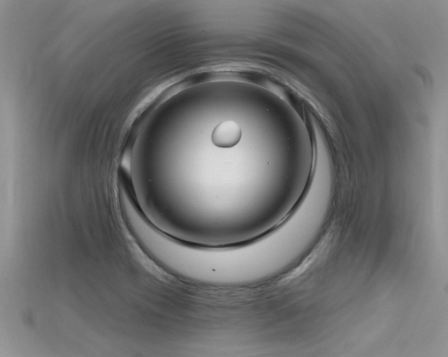 X0000115691417200911121258