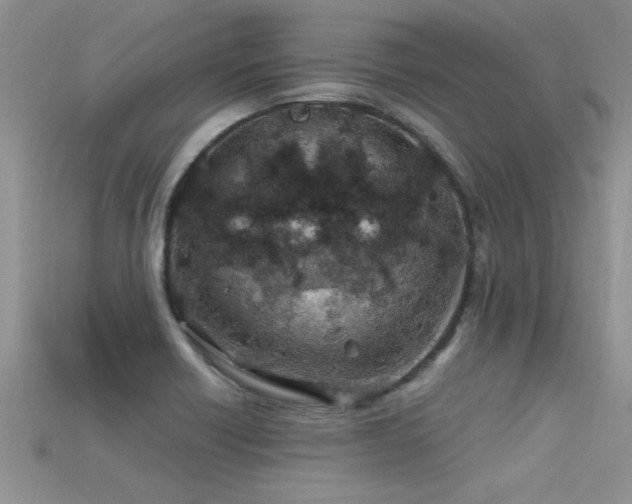 X0000115691418200911121258