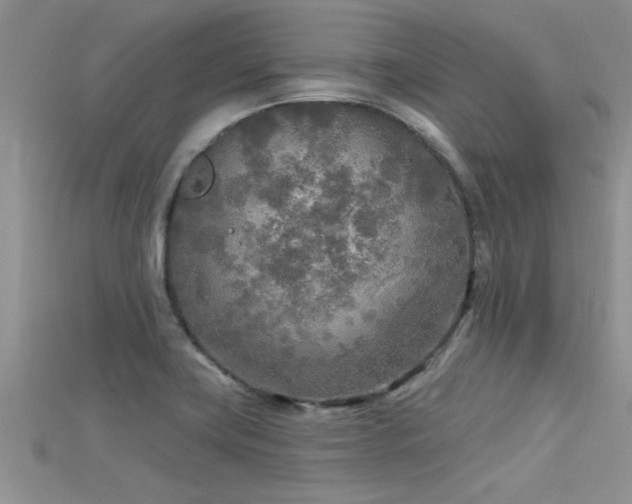 X0000115691419200911121258