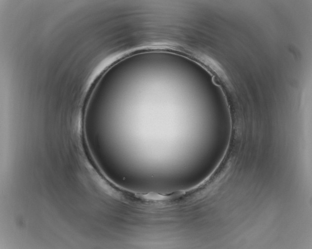 X0000115691420200911121258
