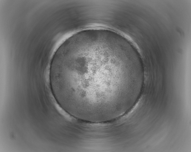 X0000115691421200911121258