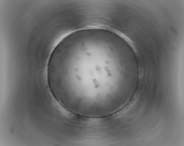 X0000115691423200911121258