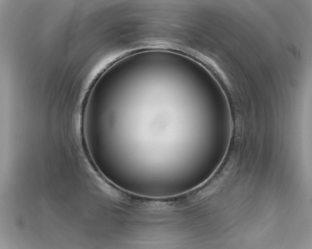 X0000115691424200911121258