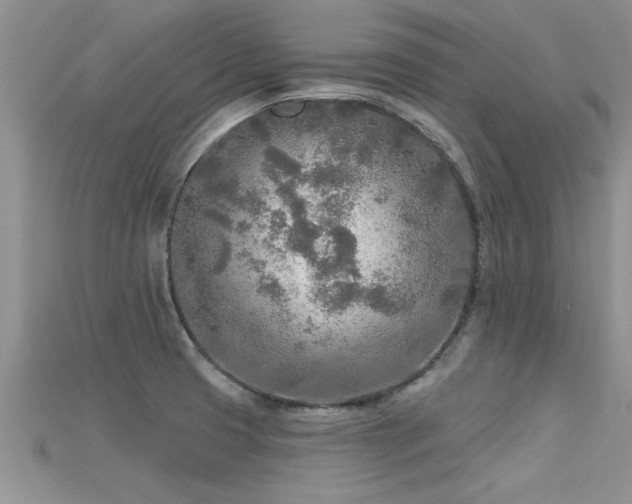 X0000115691425200911121258