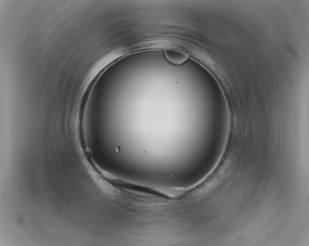 X0000115691426200911121258