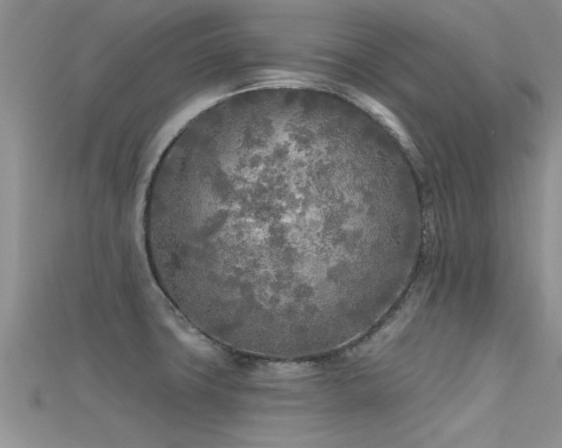 X0000115691427200911121258