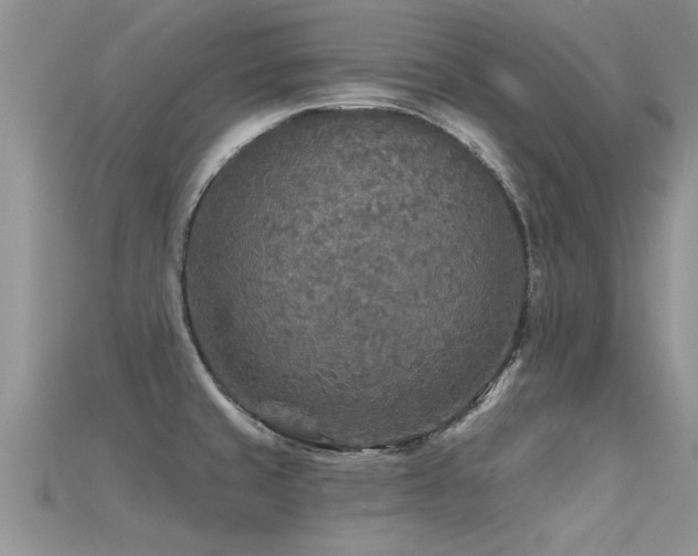 X0000115691429200911121258