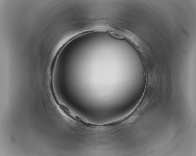 X0000115691430200911121258