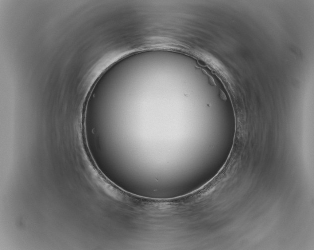 X0000115691431200911121258