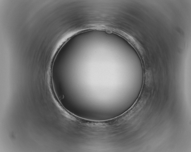 X0000115691432200911121258