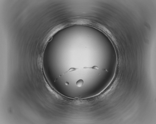 X0000115691433200911121258