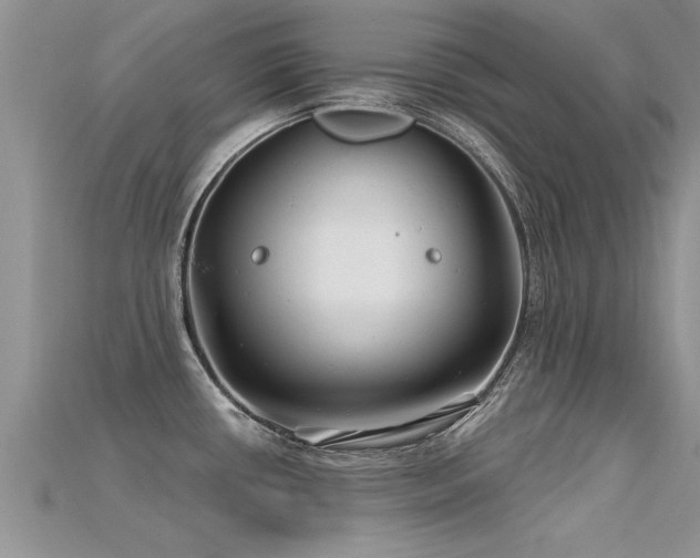 X0000115691434200911121258