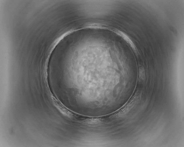 X0000115691435200911121258